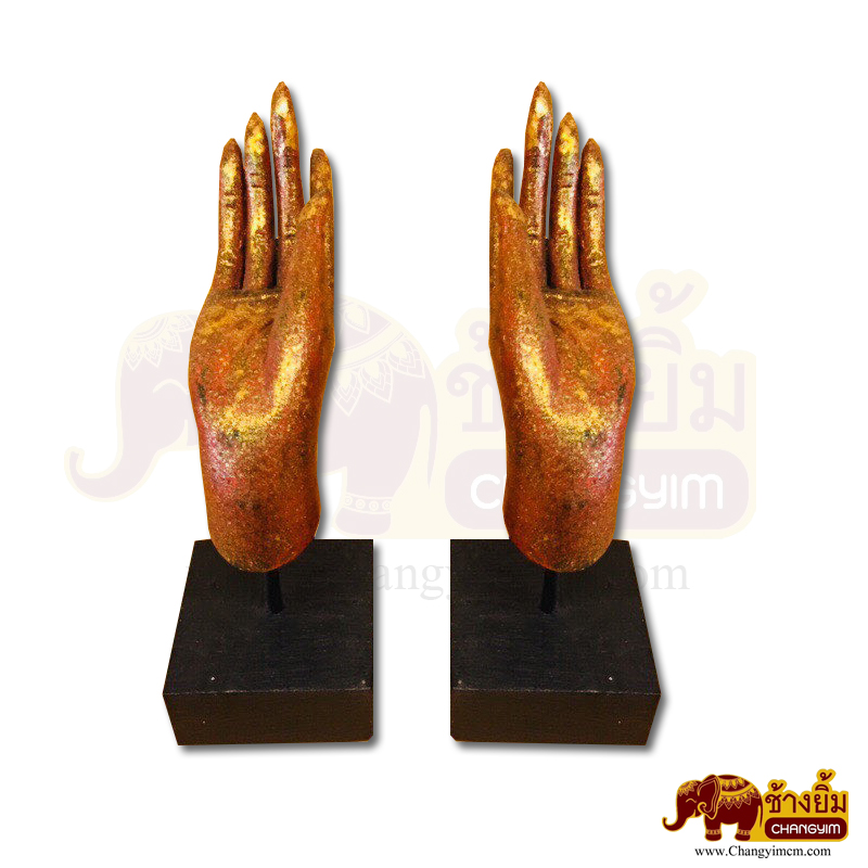 มือหงาย ( คู่ )