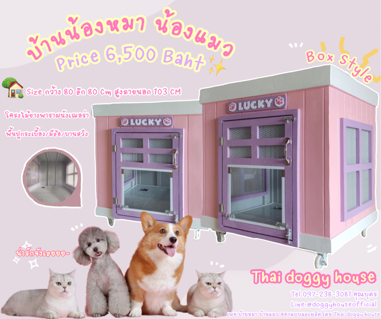 🏡บ้านหมา ติดพัดลม มุ้งลวด+ตะแกรงเหล็ก ทรง 𝐁𝐎𝐗 ✨