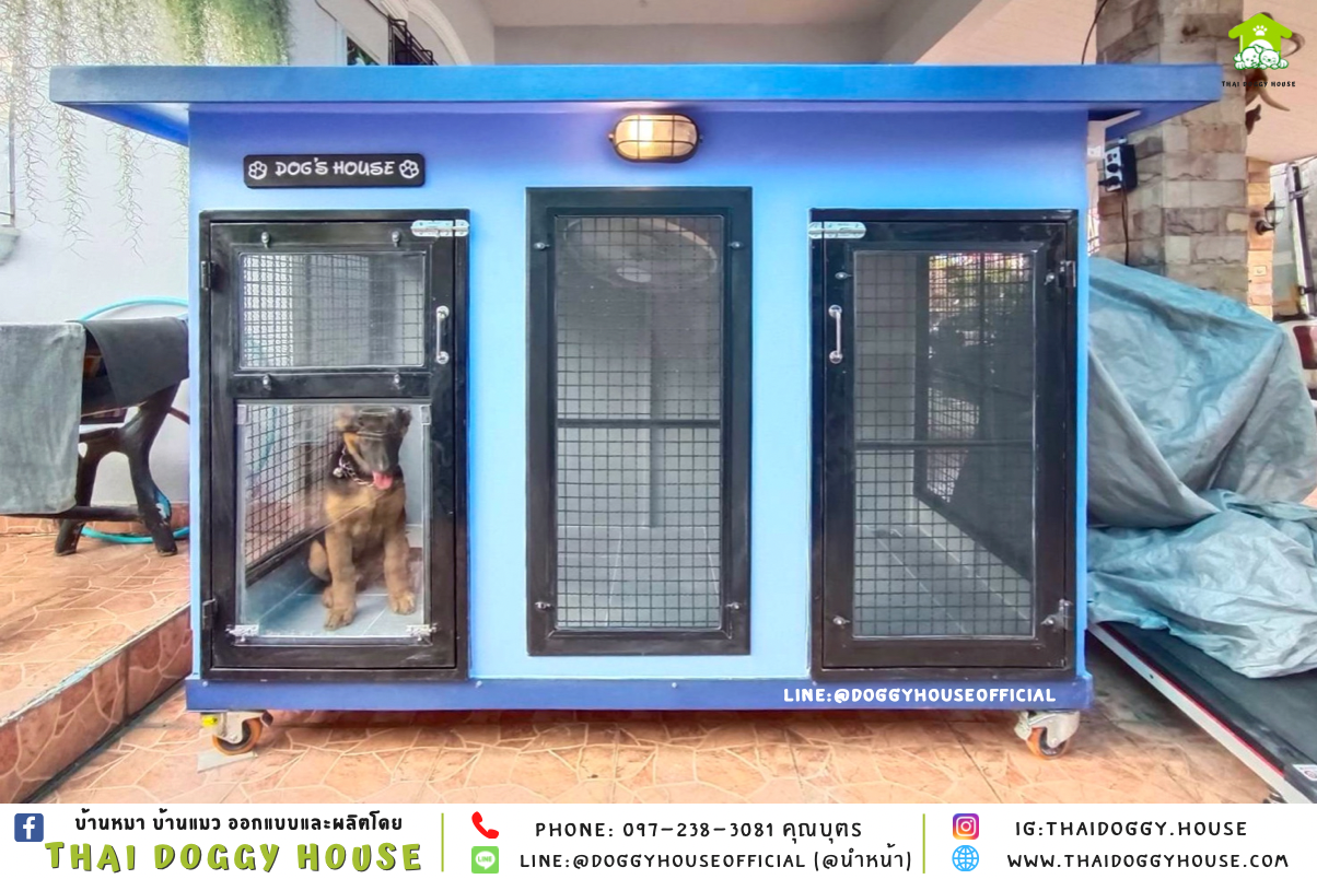 บ้านหมา แบบบ้าน 𝐁𝐎𝐗 𝐒𝐓𝐘𝐋𝐄 แบ่ง 𝟐ห้อง