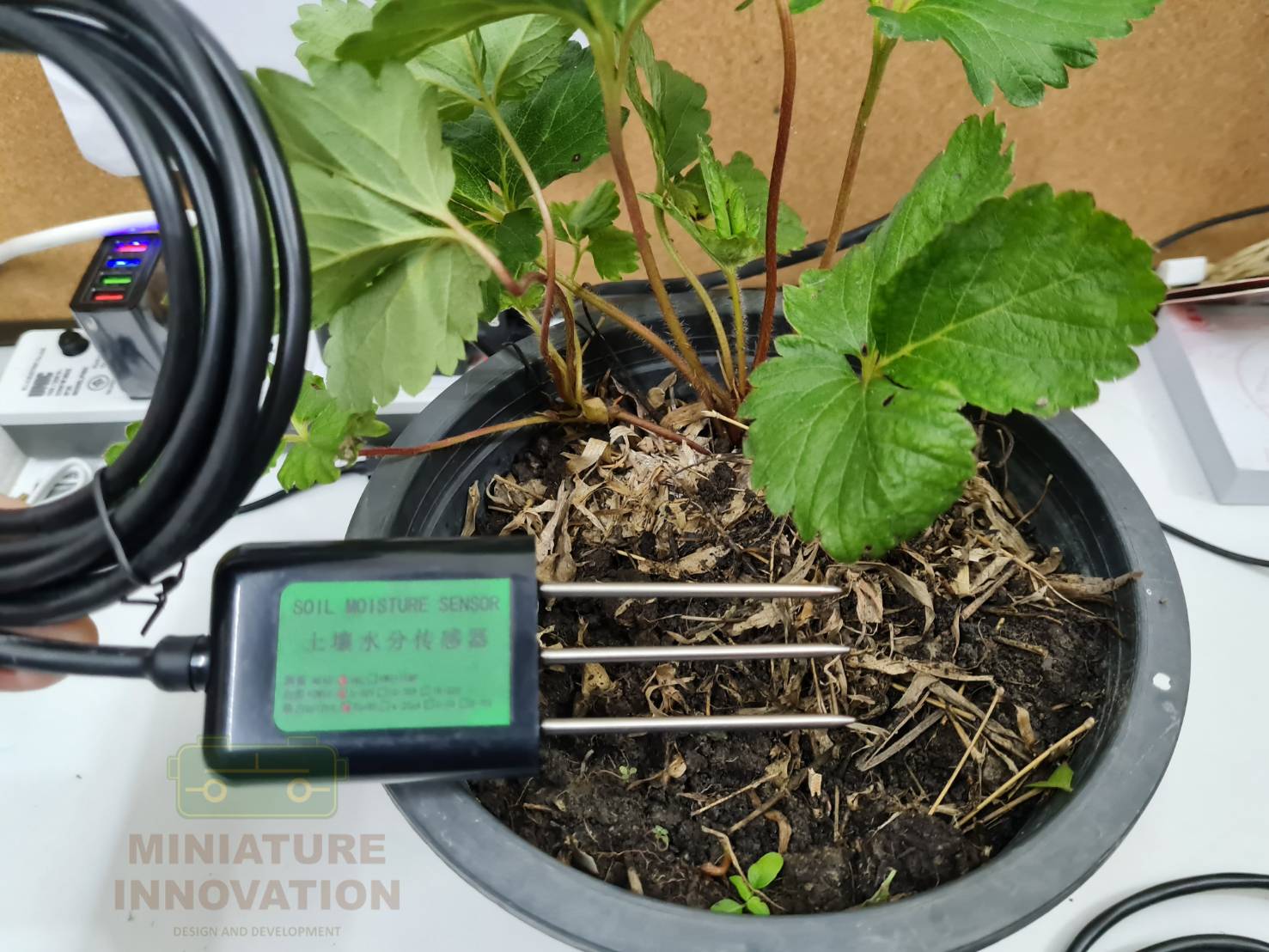 SOIL MOISTURE SENSOR OUTPUT RS485 INTERFACE เซ็นเซอร์วัดความชื้นในดิน Modbus RTU