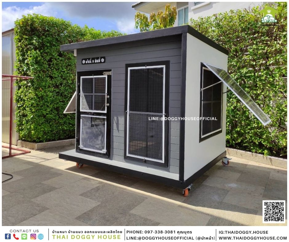 บ้านหมา Box style