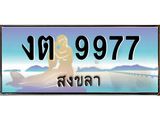 ทะเบียนรถ 9977 - งต 9977 - เลขมงคลที่ใช่สำหรับรถคุณ ของพร้อมส่งมอบ