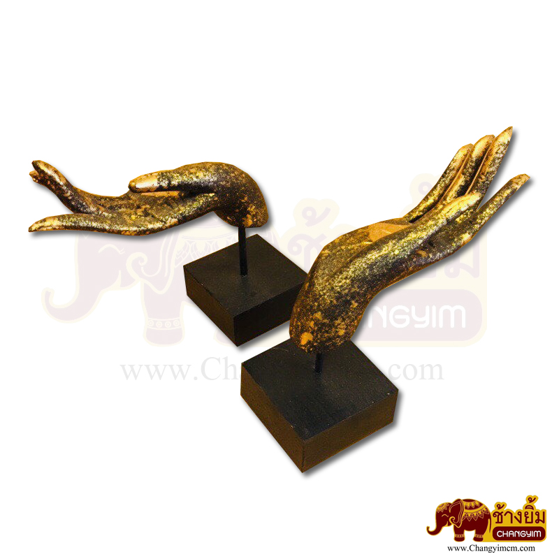 มือหงาย ( คู่ )