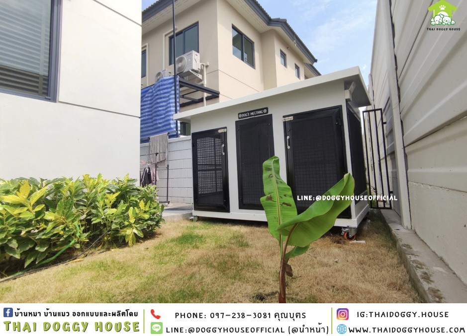 บ้านหมา 𝟐 ประตู แบบบ้าน 𝐁𝐎𝐗 𝐒𝐓𝐘𝐋𝐄