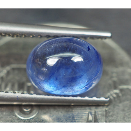 พลอยไพลินหลังเบี้ย (Sapphire) 2.95 กะรัต