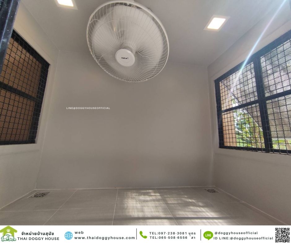 บ้านหมา