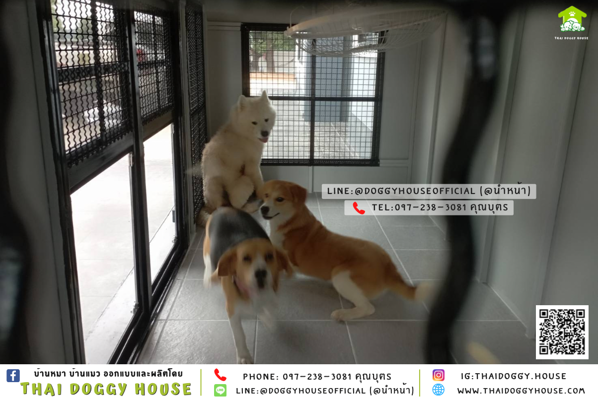 บ้านหมาติดพัดลม มีมุ้งลวด+ ตะแกรงเหล็ก แบบบ้าน 𝐁𝐎𝐗 𝐒𝐓𝐘𝐋𝐄