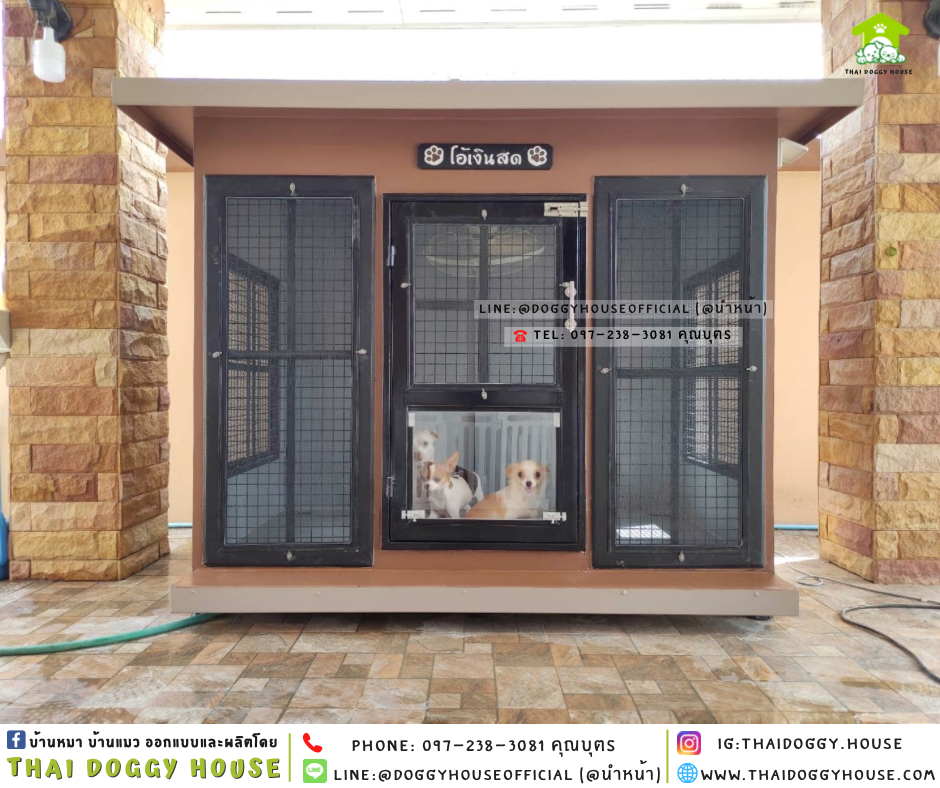 🏡บ้านหมา ติดพัดลม มีมุ้งลวด แบบบ้าน 𝐁𝐎𝐗 𝐒𝐓𝐘𝐋𝐄✨