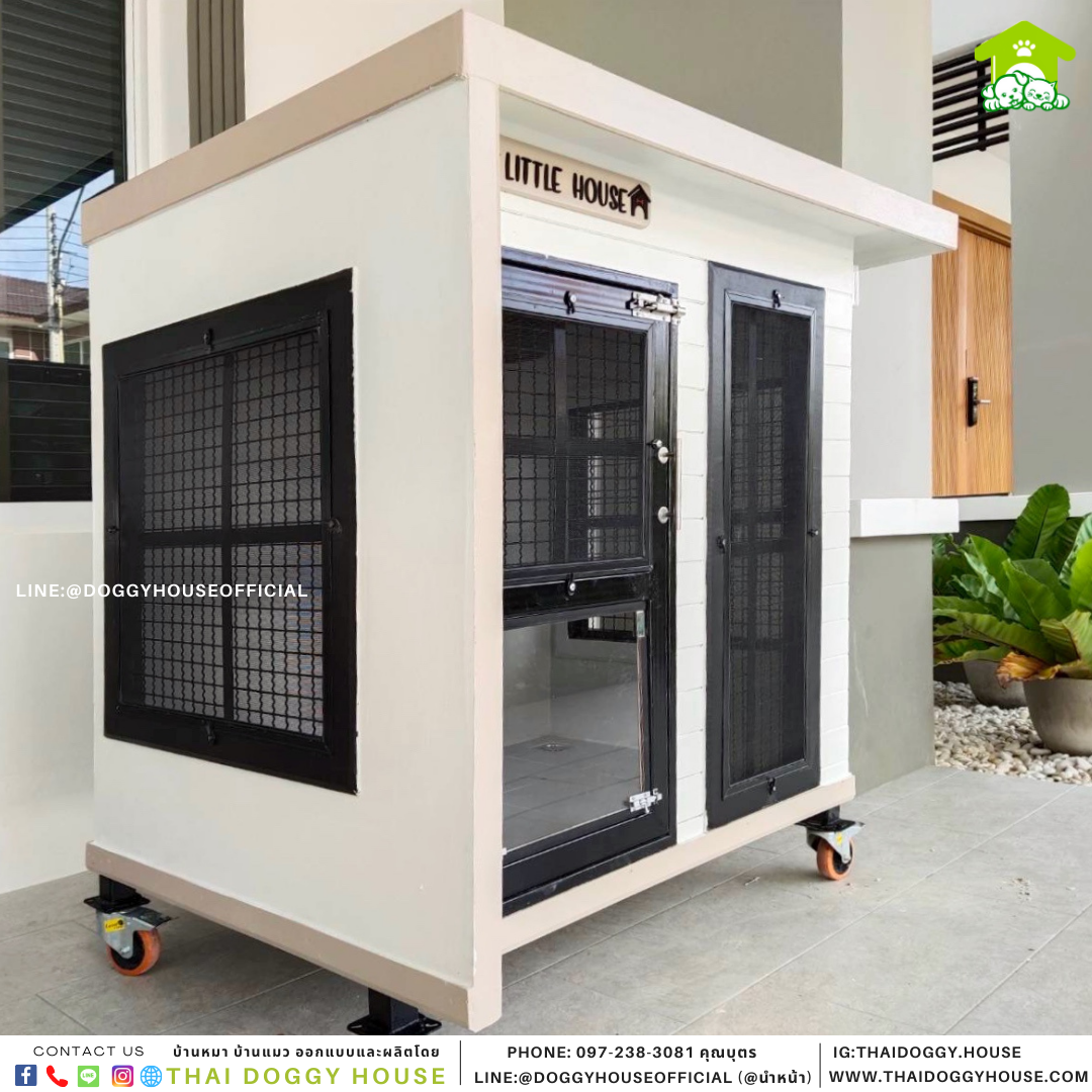 บ้านหมา Box style