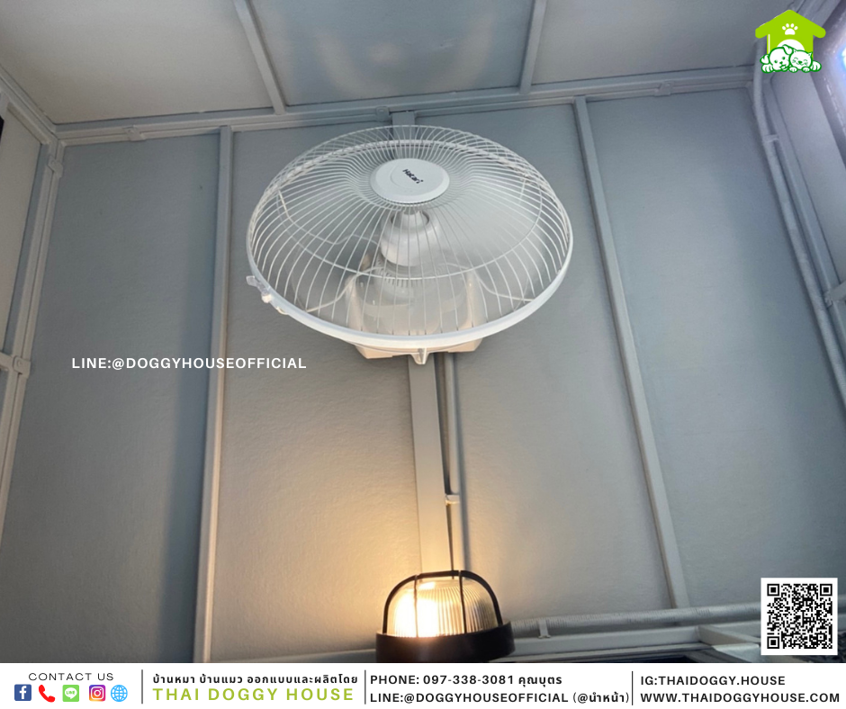 บ้านหมา แบบบ้าน Box Style