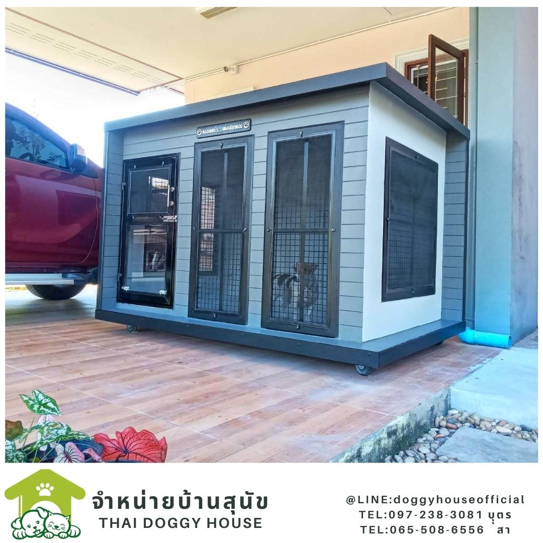 บ้านหมา