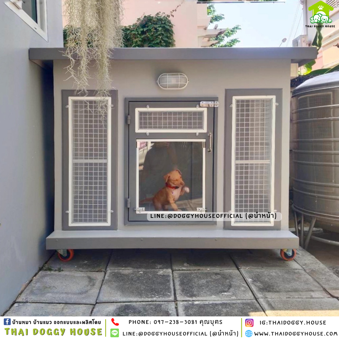 บ้านหมา ติดพัดลม มีมุ้งลวด + ตะแกรงเหล็ก แบบบ้าน 𝐁𝐨𝐱 𝐬𝐭𝐲𝐥𝐞