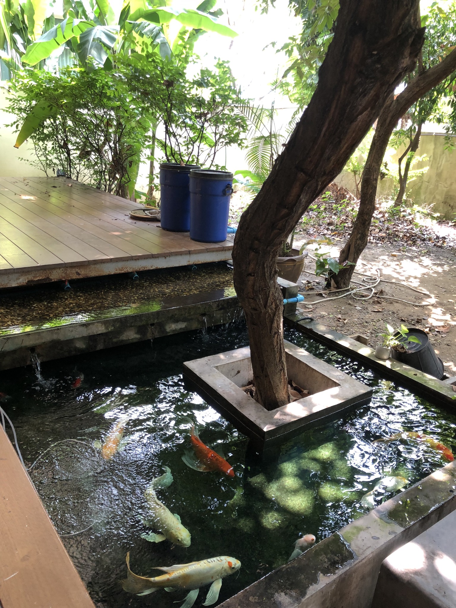 Townhouse Townehome office for rent