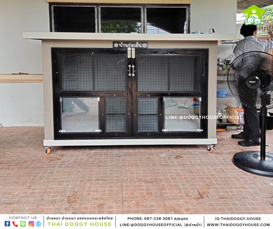 บ้านหมา แบบบ้าน Box style