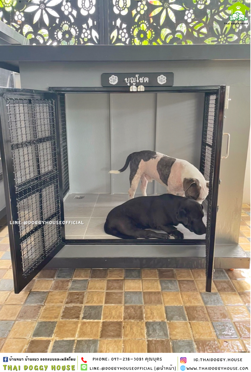 บ้านหมา แบบบ้าน 𝐁𝐎𝐗 𝐒𝐓𝐘𝐋𝐄