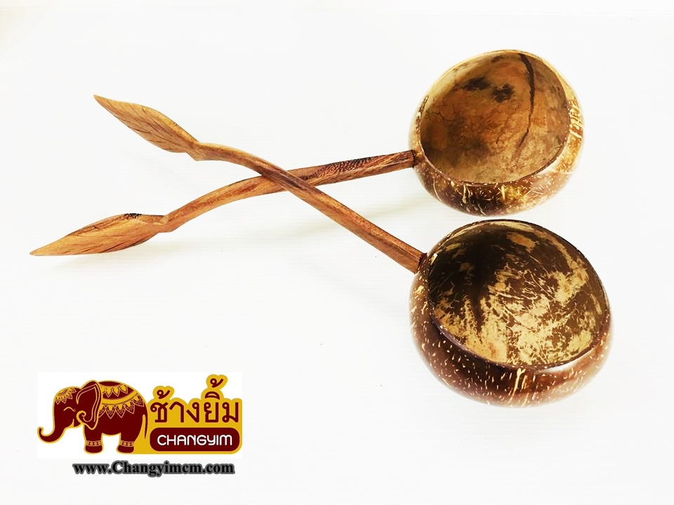 กระบวยตักน้ำ ( กะลามะพร้าว )