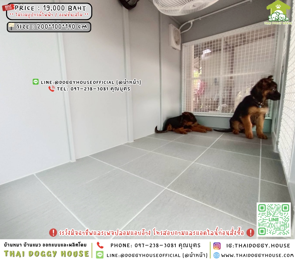 🏡🐶บ้านหมา 𝟮 ประตู แบบบ้าน 𝗕𝗼𝘅 𝗦𝘁𝘆𝗹𝗲 🐾