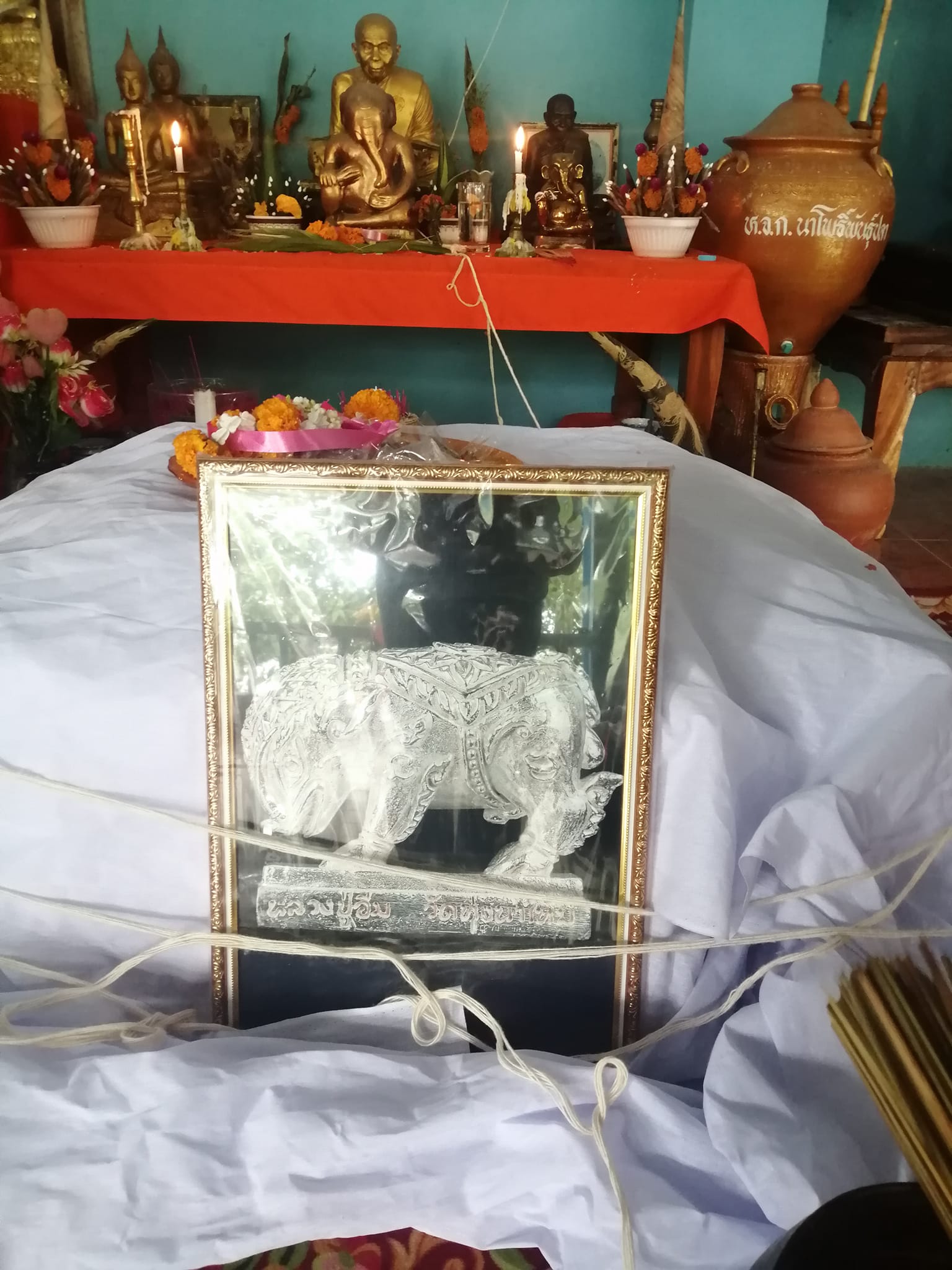 พญาหมูนารายณ์(9) รุ่นมหาโชคมหาลาภ หลวงปู่อิ่ม วัดทุ่งนาใหม่ เนื้อทองทิพย์ ตะกรุดทองแดง ปี 2565