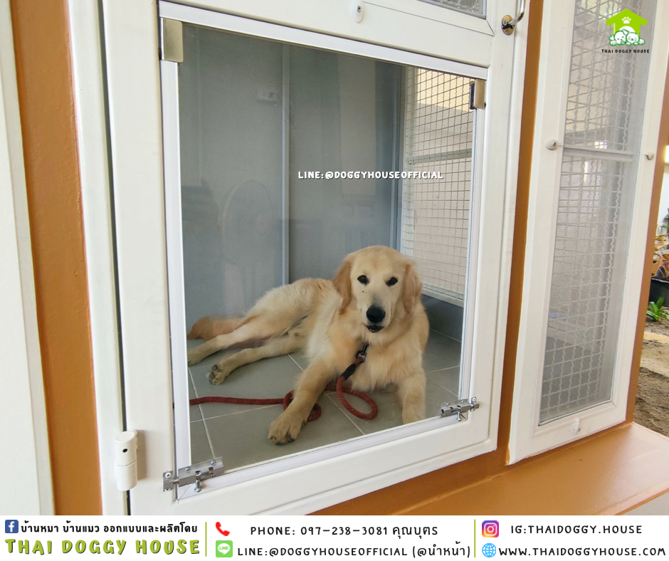 บ้านหมา แบบบ้าน BOX STYLE