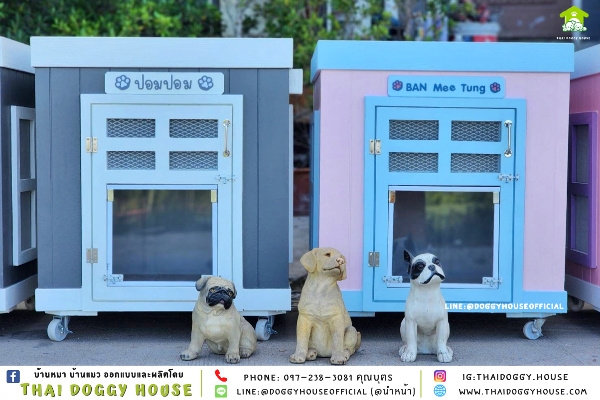 บ้านหมา ทรง 𝐁𝐎𝐗