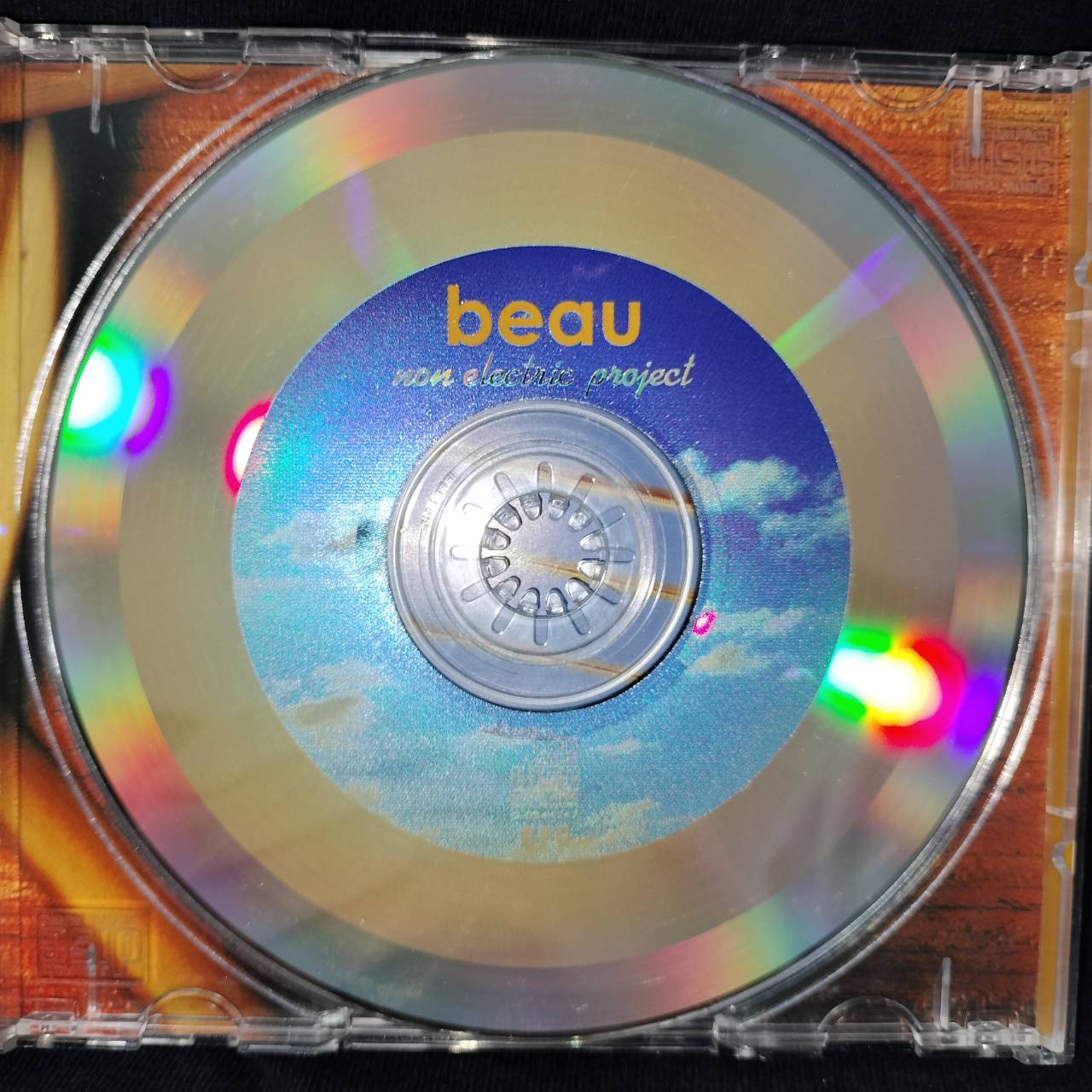 โบ สุนิตา ลีติกุล – Beau Non Electric Project / แผ่นดี