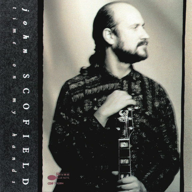 John Scofield – Time On My Hands / HOLLAND / แผ่นดี