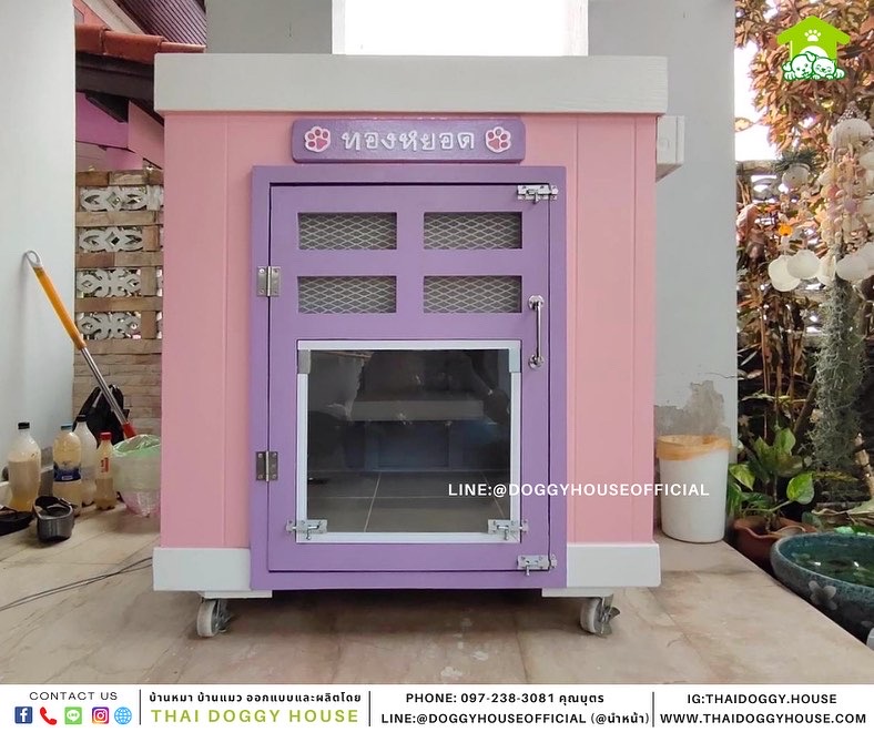 บ้านแมว ทรง BOX