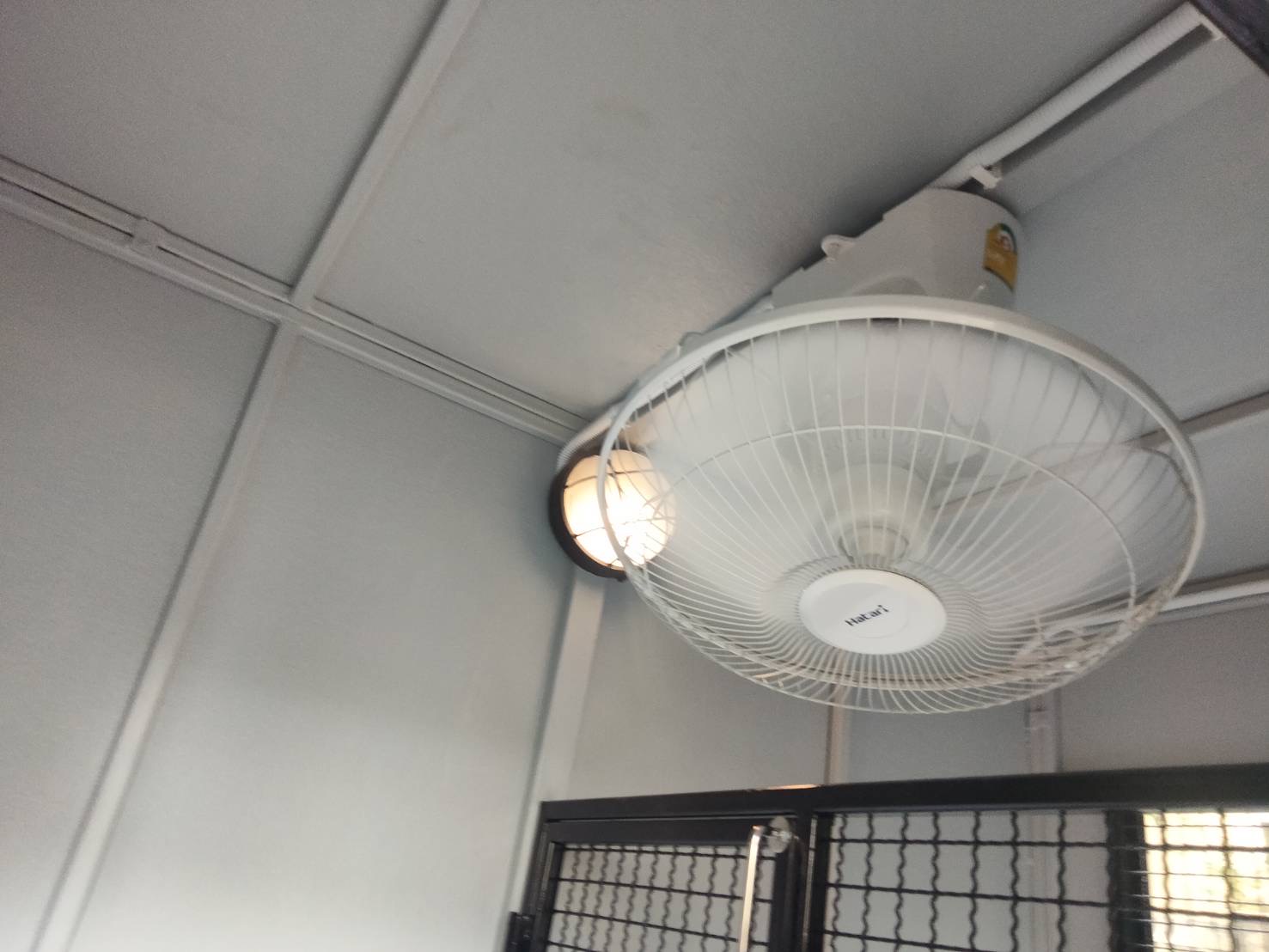 🏠บ้านหมา แบ่ง 𝟐 ห้อง แบบบ้าน 𝑩𝑶𝑿 𝑺𝑻𝒀𝑳𝑬 🐶🐱