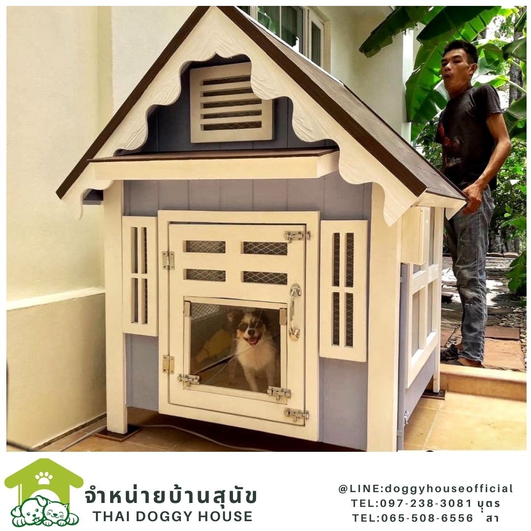 บ้านหมา