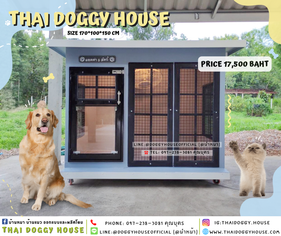 🏡บ้านหมา ติดพัดลม แบบบ้าน “𝐁𝐎𝐗 𝐒𝐓𝐘𝐋𝐄”✨