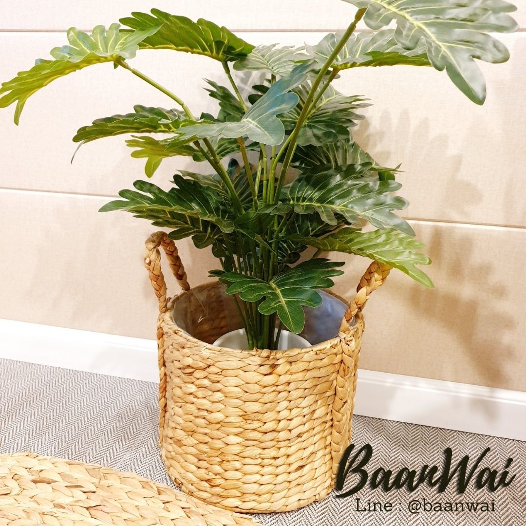 กระถางต้นไม้ ตะกร้าต้นไม้ ตะกร้าตกแต่งสวน กระถางต้นไม้ผักตบชวา