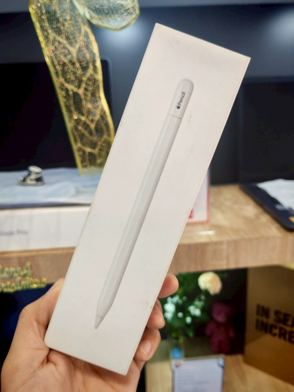 Apple Pencil (USB-C)