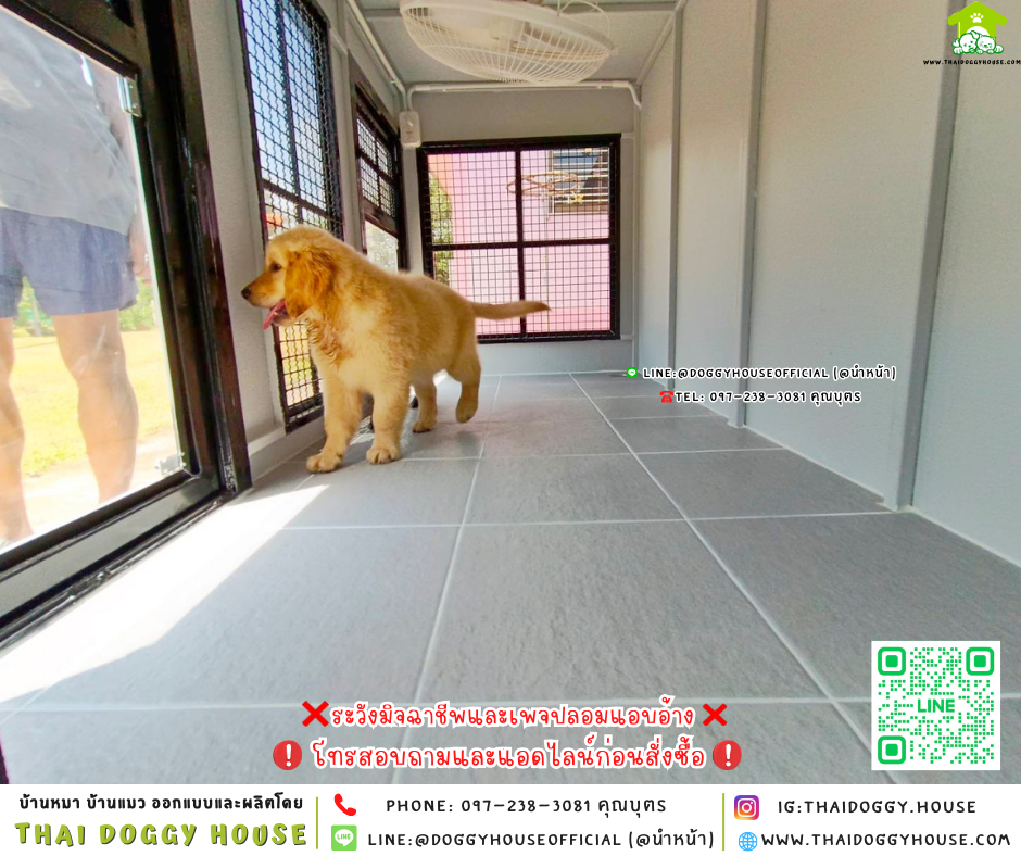 🏡บ้านหมา แบ่ง 𝟐 ห้อง & โซน 𝐨𝐮𝐭𝐝𝐨𝐨𝐫 แบบบ้าน 𝐁𝐨𝐱 𝐬𝐭𝐲𝐥𝐞 🐶