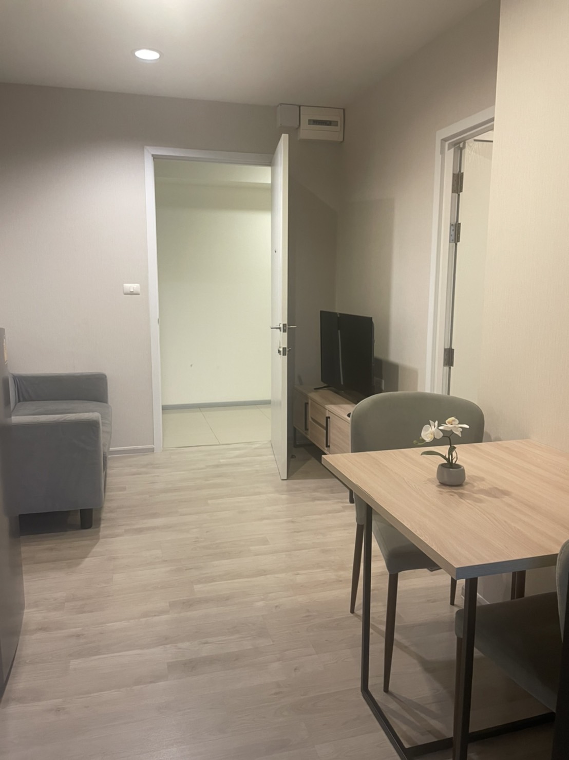 Plum condo Central station phase2