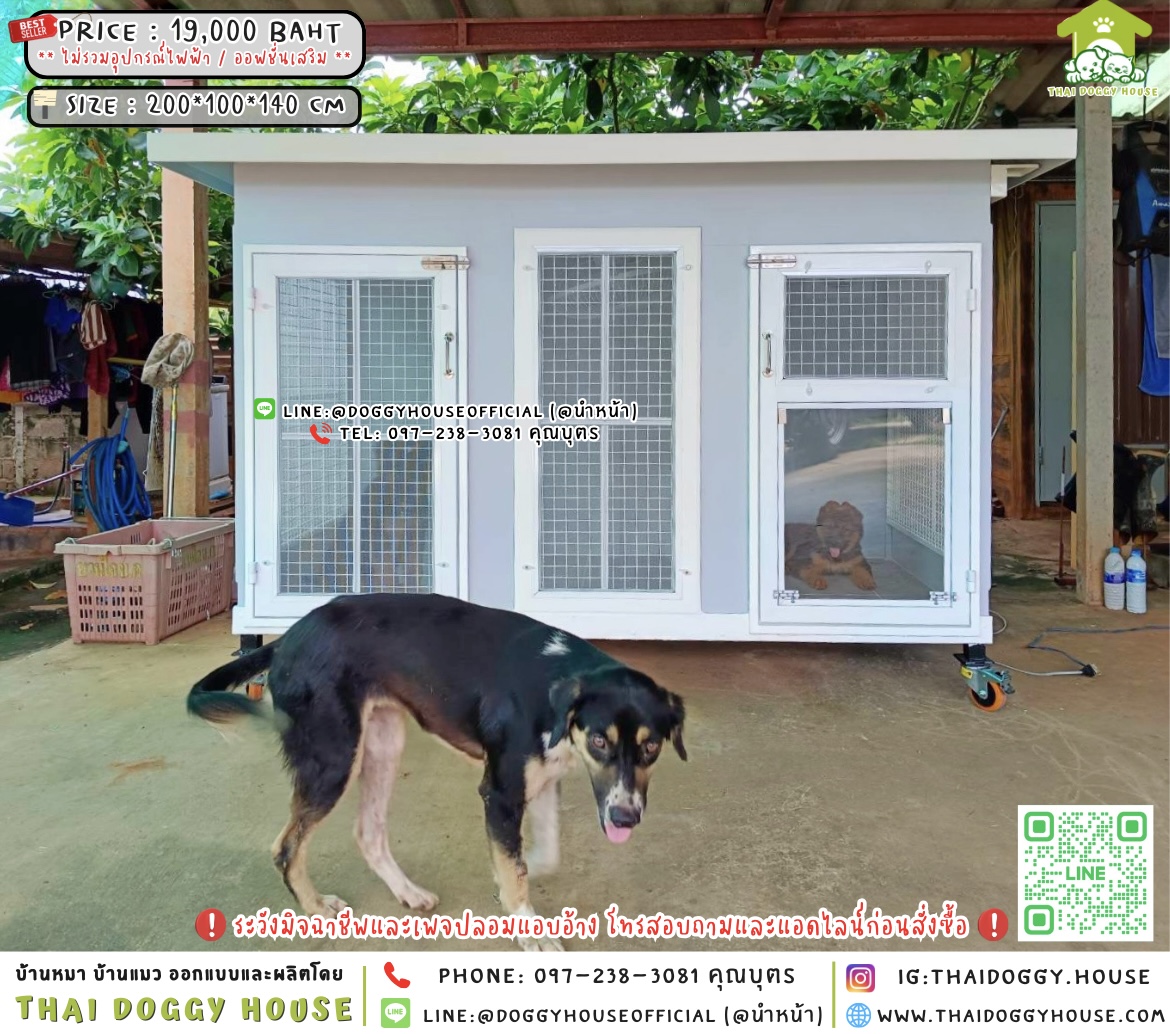 🏡🐶บ้านหมา 𝟮 ประตู แบบบ้าน 𝗕𝗼𝘅 𝗦𝘁𝘆𝗹𝗲 🐾