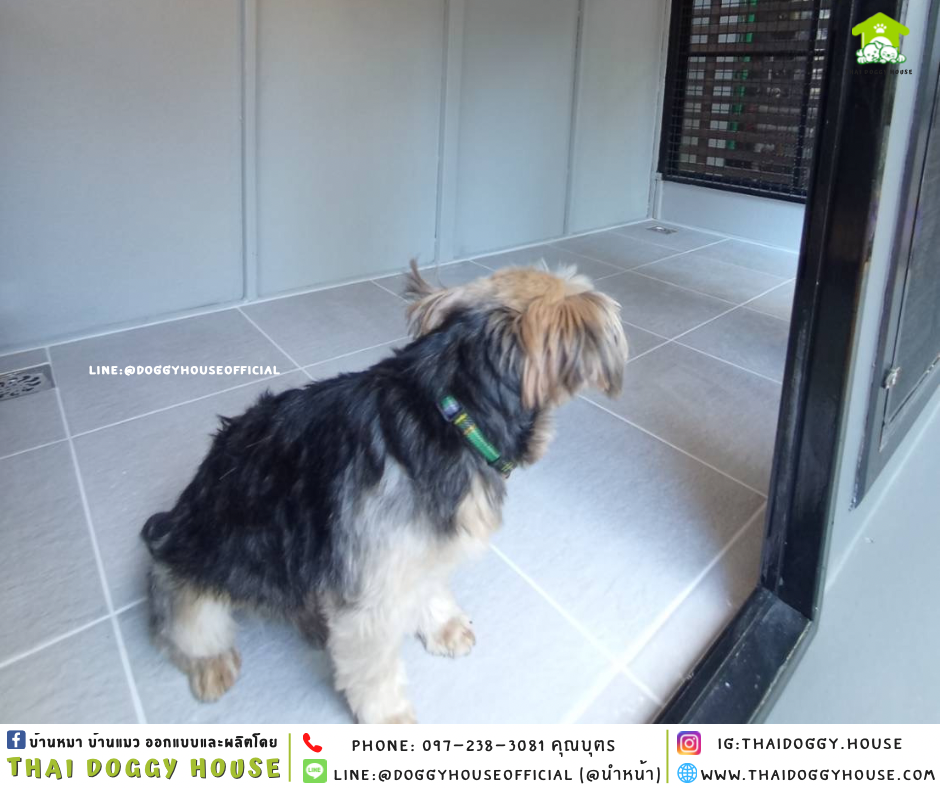 บ้านหมา แบบบ้าน ติดพัดลม 𝐁𝐎𝐗 𝐒𝐓𝐘𝐋𝐄