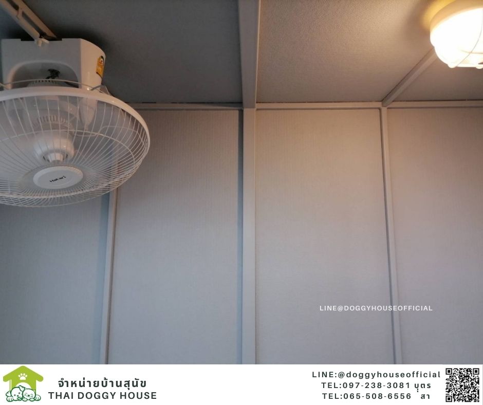 บ้านหมา