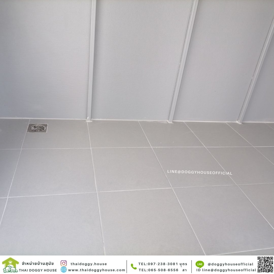 บ้านหมา