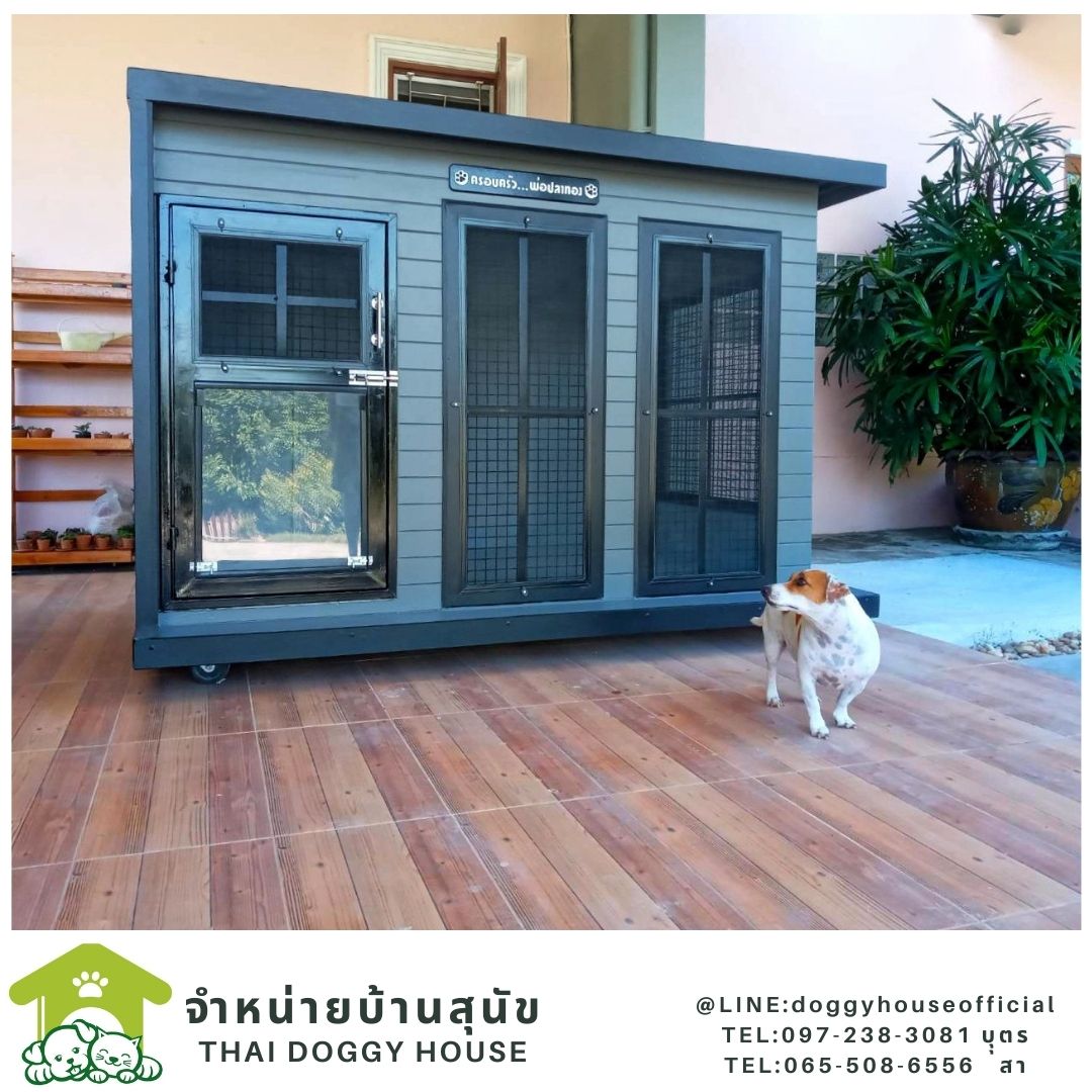 บ้านหมา