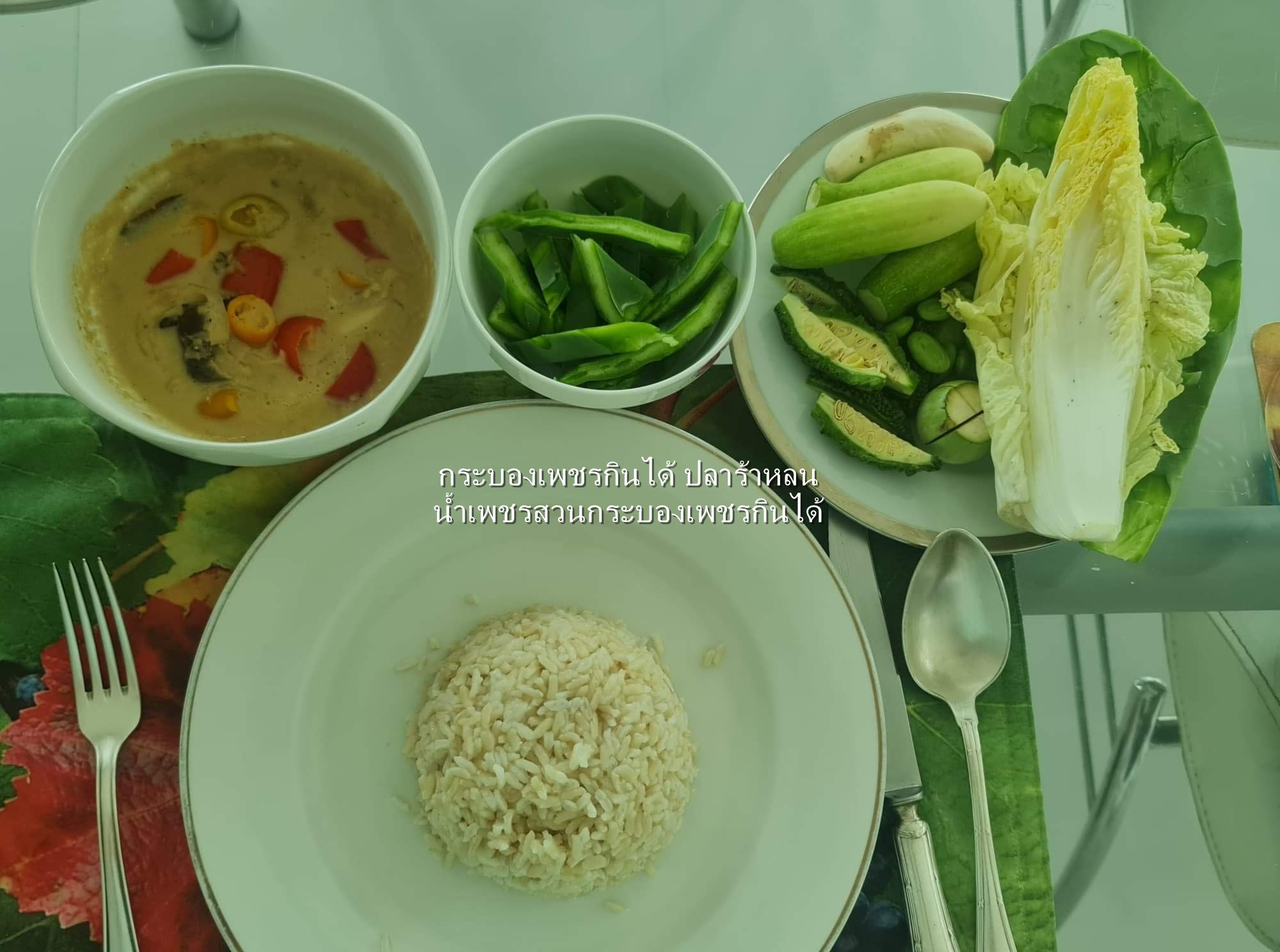 พันธุ์ "มะรุ่ง" No.1A รหัส" ID-PA-A1-5 กระบองเพชรกินได้ สายพันธุ์โอพันเทียฟิคัสอินดิก้า Opuntia Ficus Indica 5 ขนาด ตัดสดให้เลือก