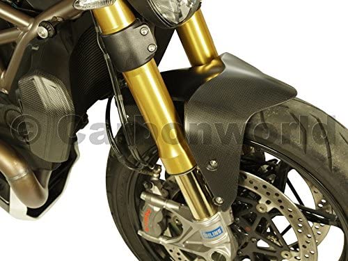 carbonworld บังโคลนหน้าคาร์บอน สำหรับ monster 821 2018+