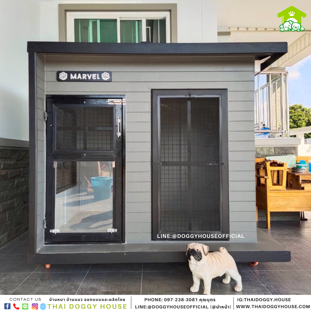 บ้านหมา แบบบ้าน Box style