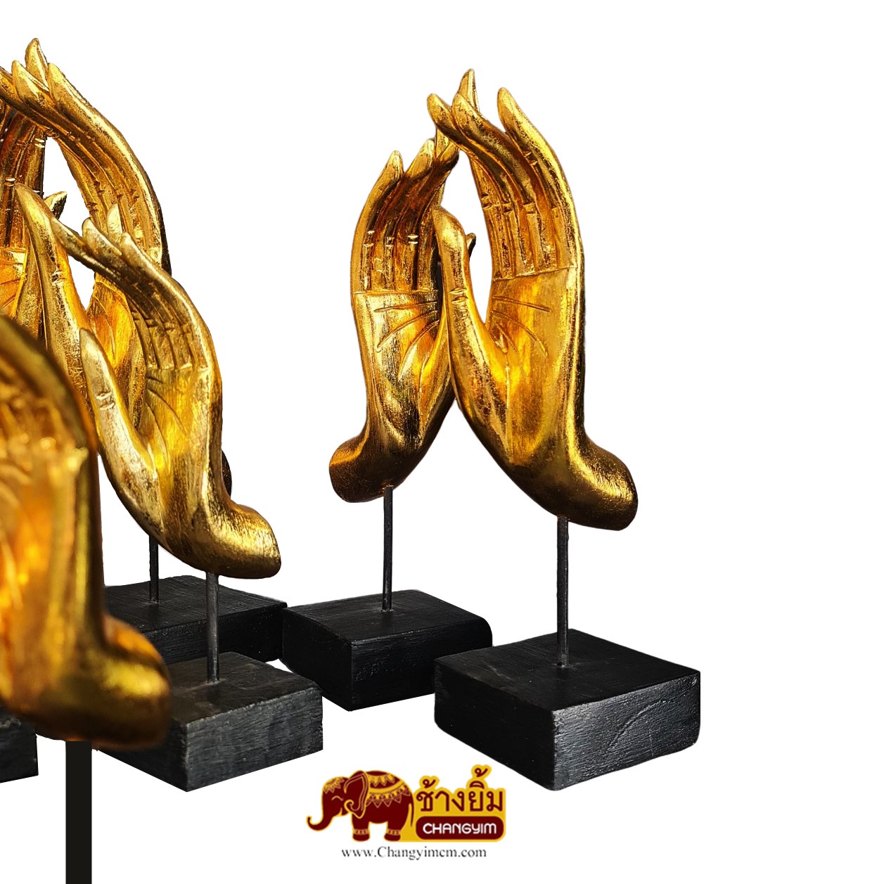 มือตั้ง ( คู่ )