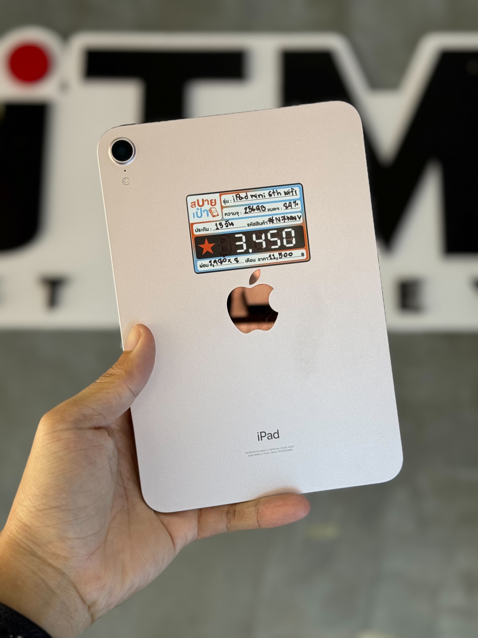 iPad mini 6 256GB Wi-Fi Pink