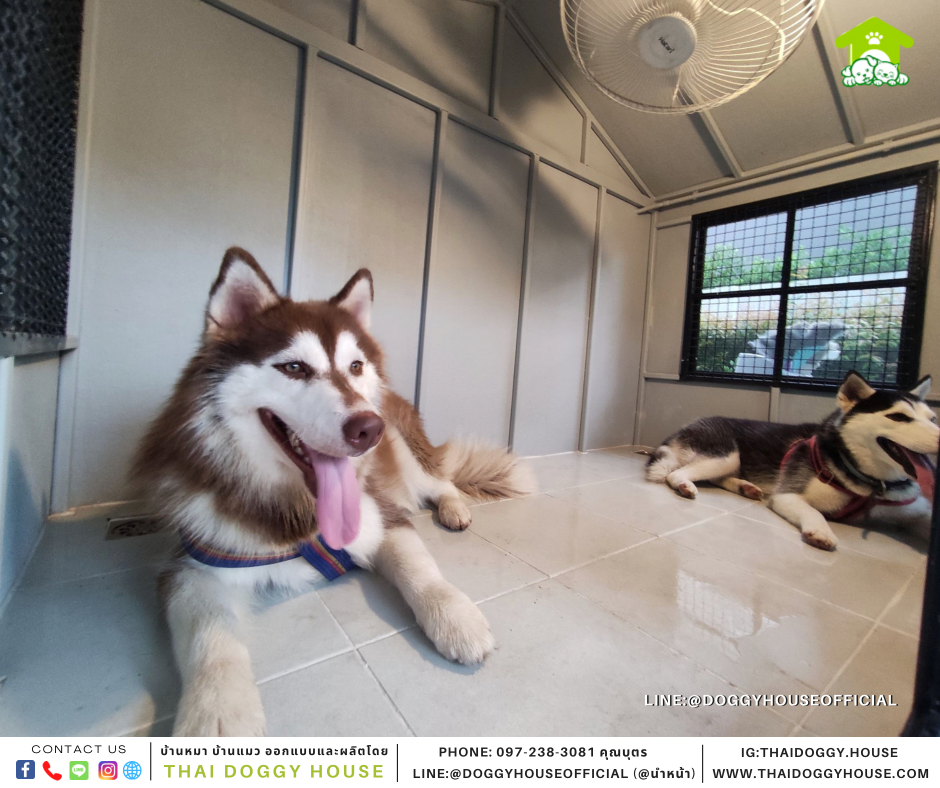 บ้านหมา แบบบ้าน 𝑵𝒐𝒓𝒅𝒊𝒄 𝒔𝒕𝒚𝒍𝒆