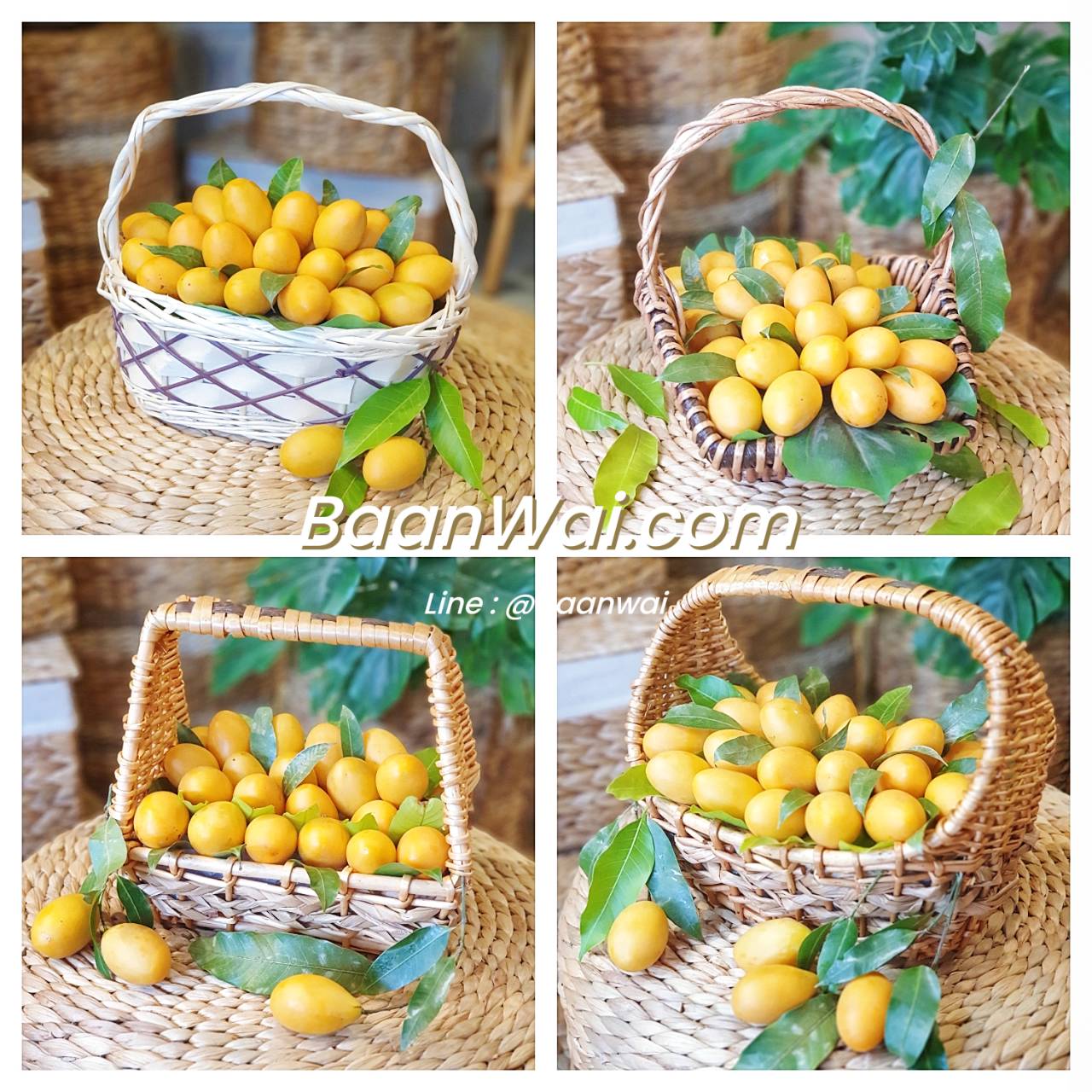 กระเช้า Eco Code-005 VIP ทรงรี - ทรงเหลี่ยม