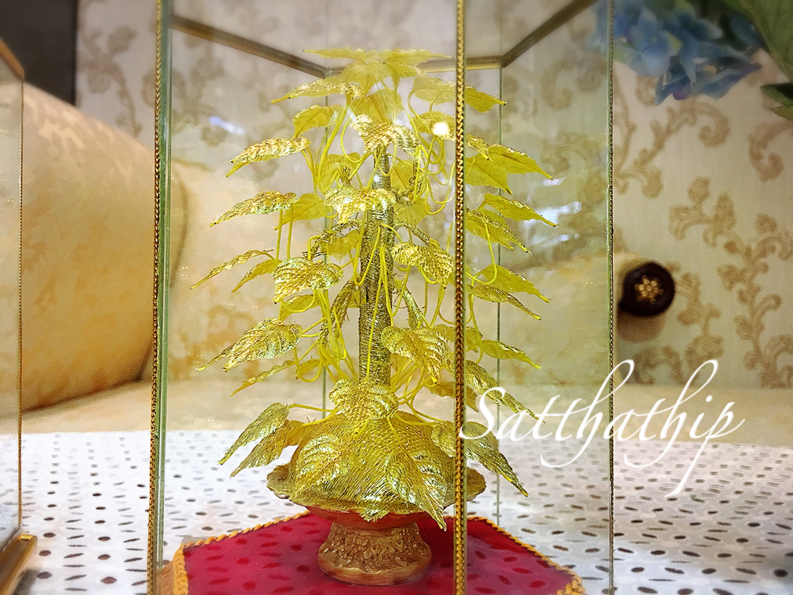 ต้นโพธิ์เงิน โพธิ์ทอง