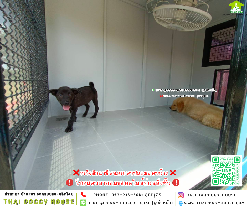 🏡บ้านหมา แบ่ง 𝟐 ห้อง & โซน 𝐨𝐮𝐭𝐝𝐨𝐨𝐫 แบบบ้าน 𝐁𝐨𝐱 𝐬𝐭𝐲𝐥𝐞 🐶