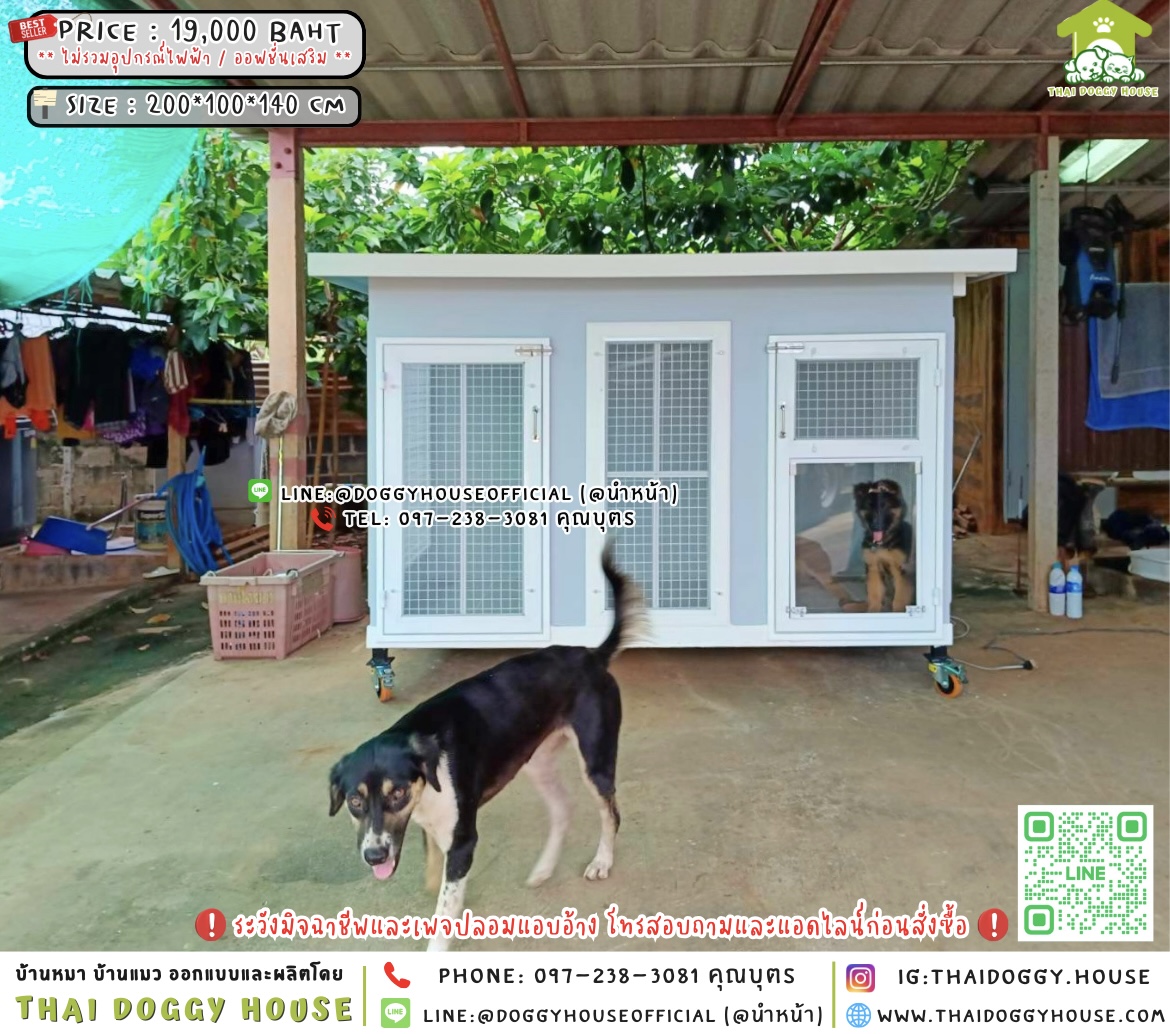 🏡🐶บ้านหมา 𝟮 ประตู แบบบ้าน 𝗕𝗼𝘅 𝗦𝘁𝘆𝗹𝗲 🐾