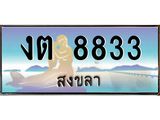 ทะเบียนรถ 8833 - งต 8833 - เลขมงคลที่ใช่สำหรับรถคุณ ของพร้อมส่งมอบ